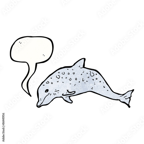 dolphin illustration