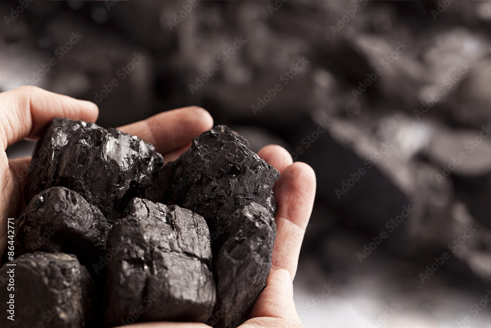 Two white hands holding lumps of black coal in focus - obrazy, fototapety, plakaty 