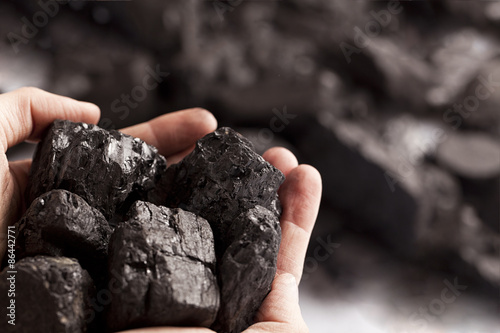 Two white hands holding lumps of black coal in focus