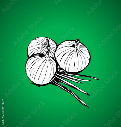 onions 