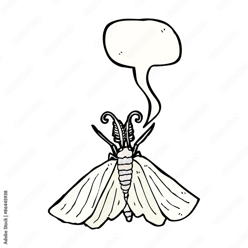cartoon moth cartoon moth
