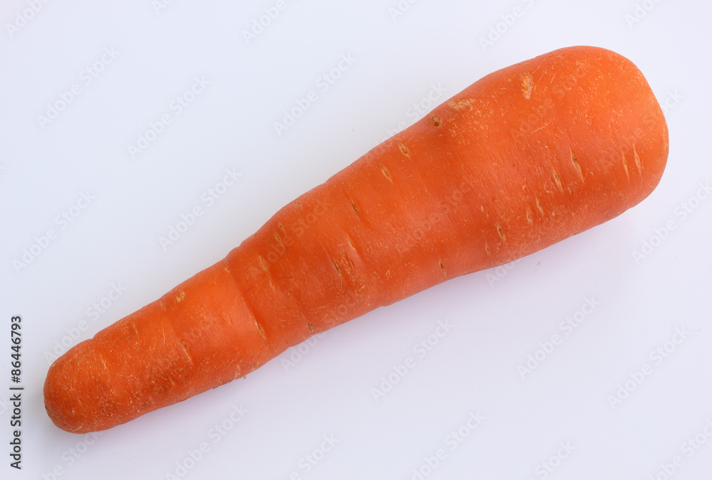 carrot carrot