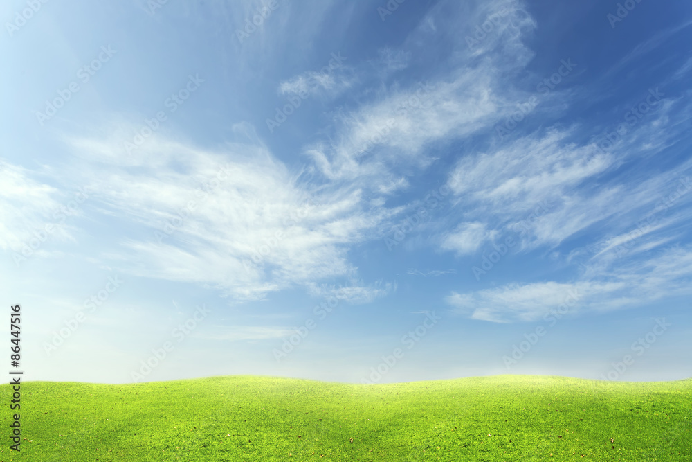 Green grass and blue sky