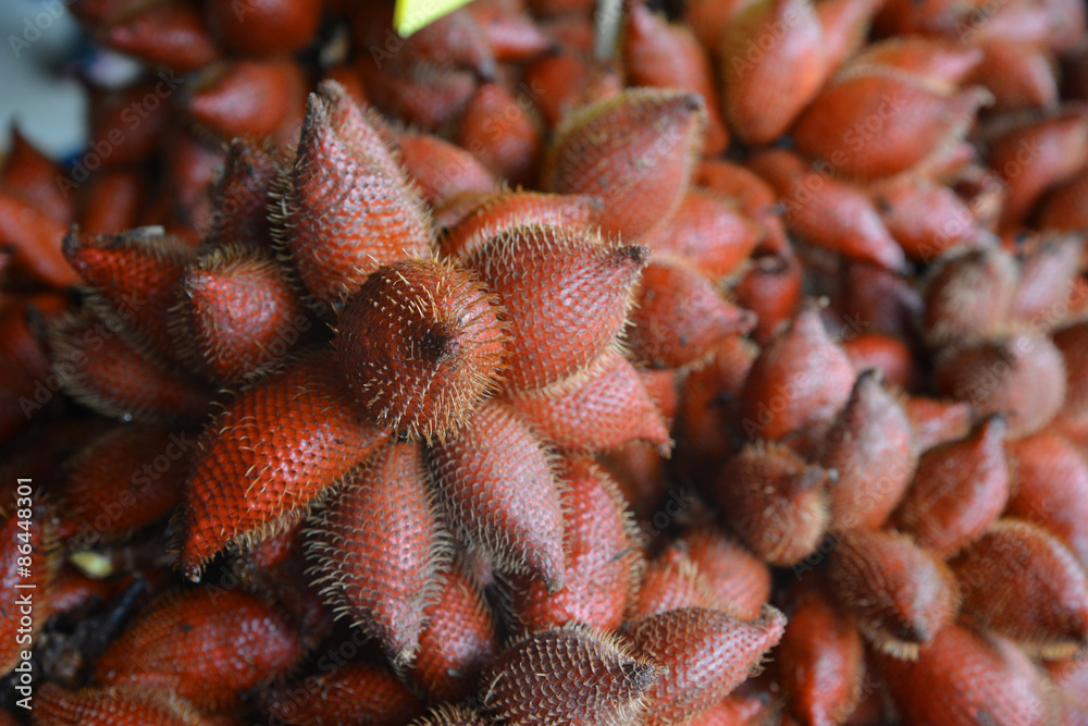 Fototapeta premium Zalacca Fruit