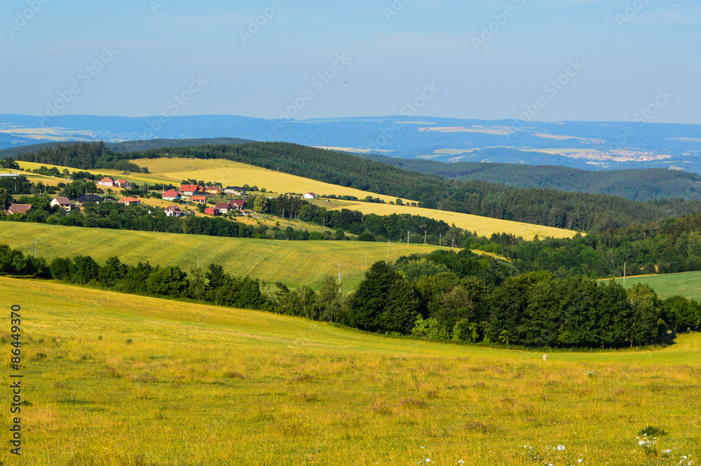 Meadow landscape