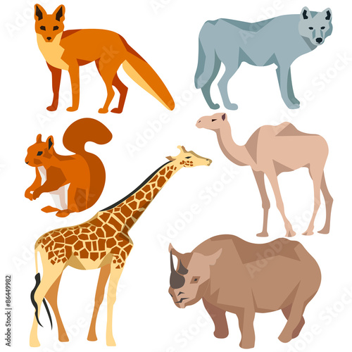 Set Isolated different animals fox  wolf  giraffe  protein