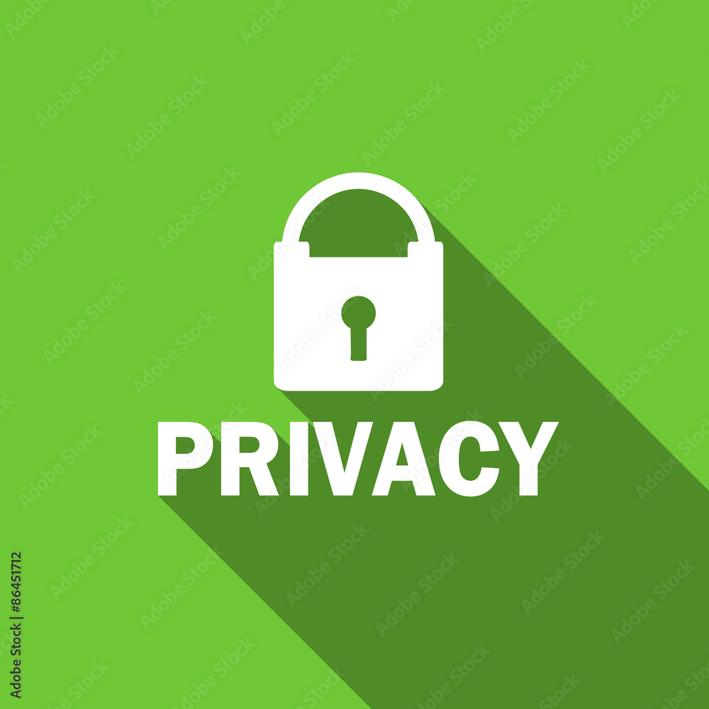 privacy flat icon