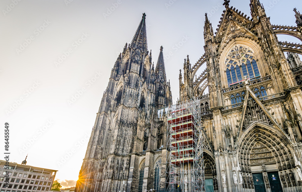 Fototapeta premium Köln