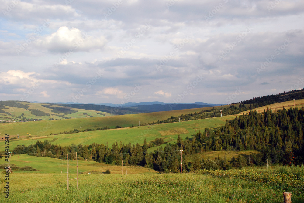 Landscape of Ukrainian green plains