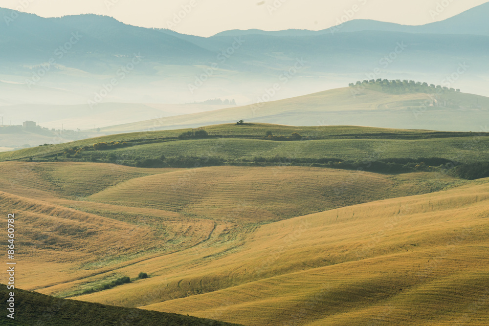 Obraz premium summer landscape of Tuscany, Italy.