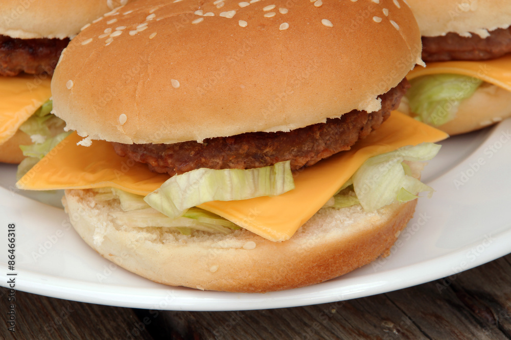 burger 05072015 burger 05072015
