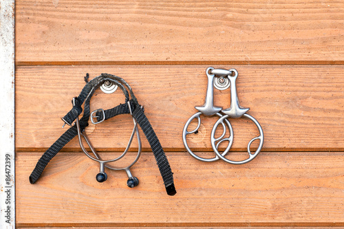 Steel horse snaffle-bit and spurs hanging on wooden background