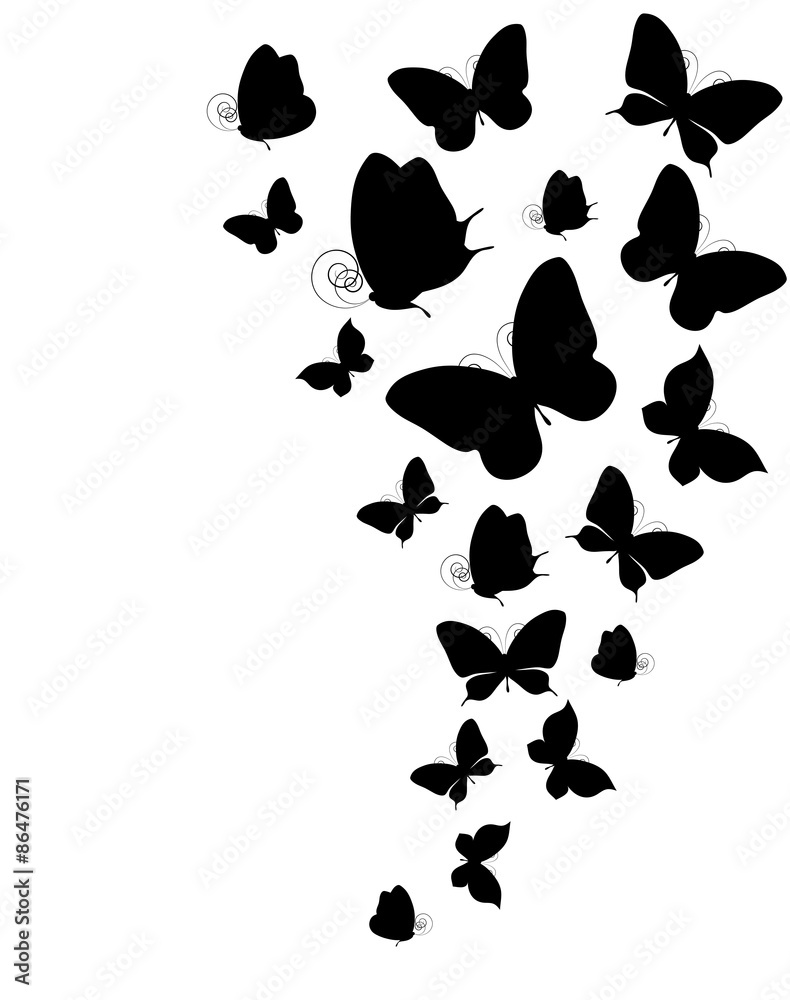Fototapeta premium butterflies design