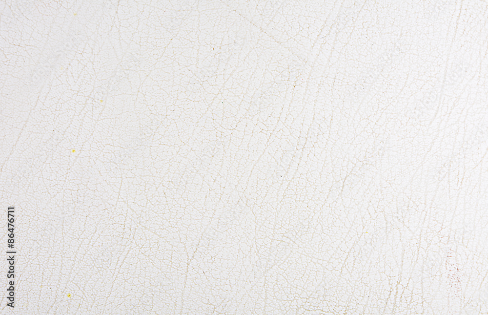 Texture of white leather Texture of white leather