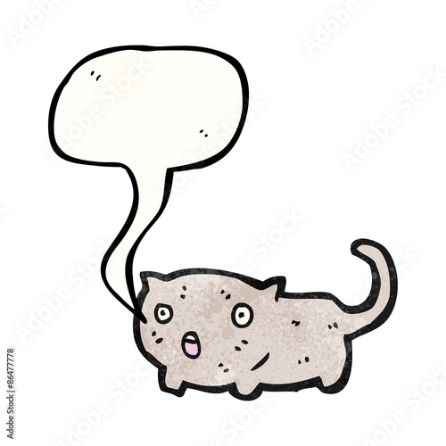 funny cartoon cat
