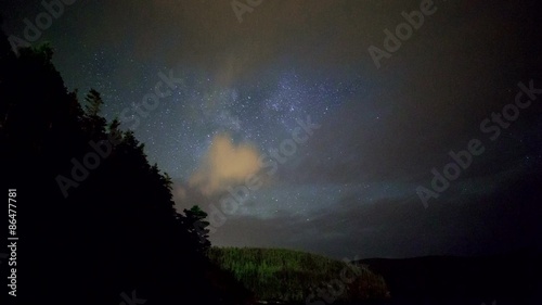 Milky Way Behind the Trees photo