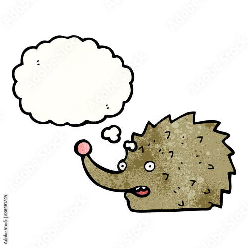 funny cartoon hedgehog with thought bubble