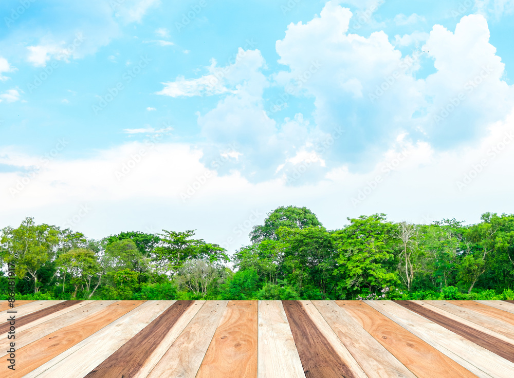 Empty perspective room with lagoon at forest and blue sky and wo Empty perspective room with lagoon at forest and blue sky and wo