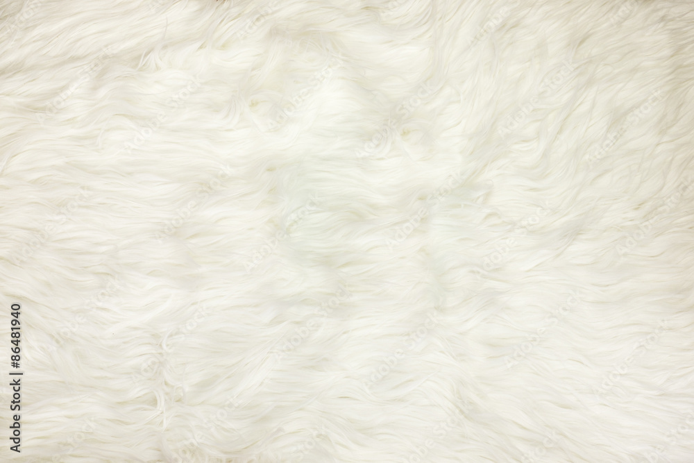 White fur texture 4470256 Stock Photo at Vecteezy