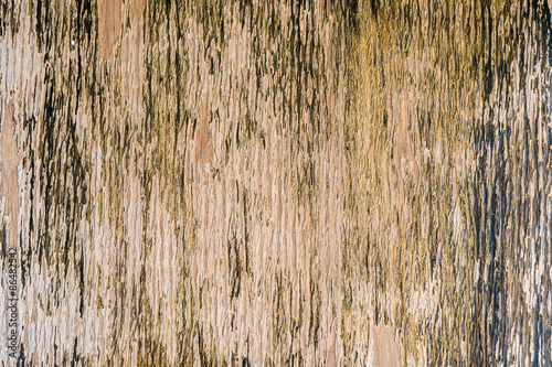 Wood old vertical background