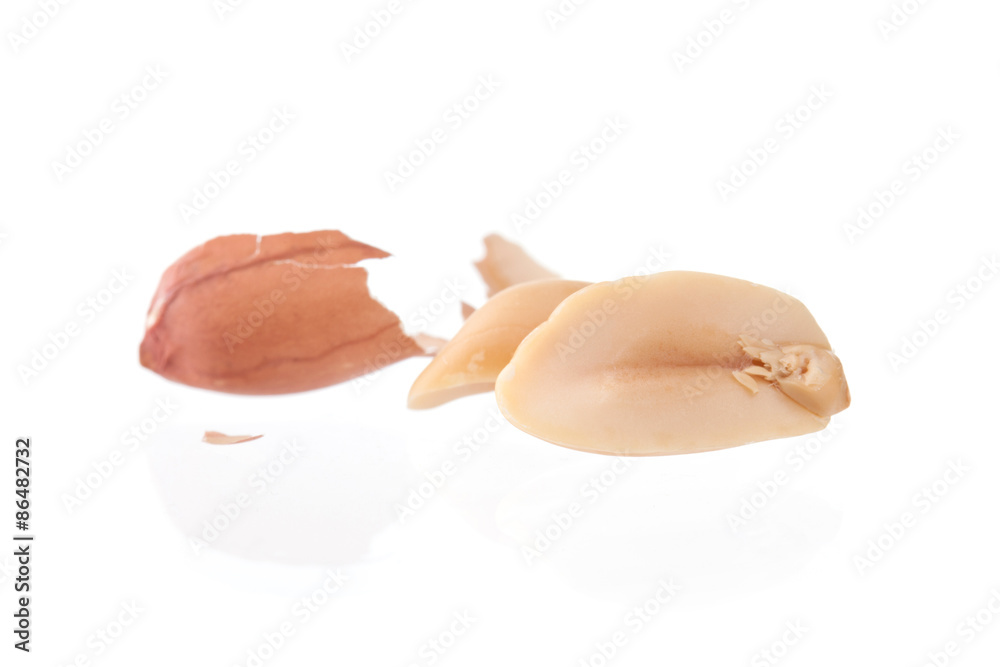 peanut isolated shots in studio on a white background