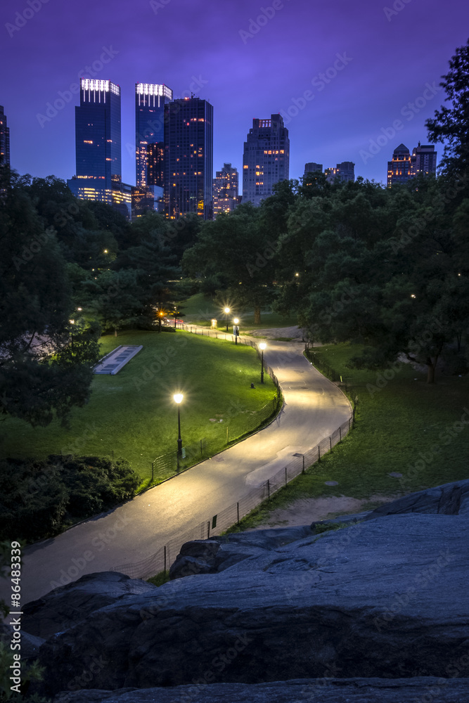 Obraz premium New York skyline seen from an alley in Central Park standing up on a big rock at night