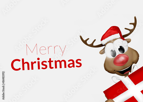 Merry Christmas Reindeer © wetzkaz