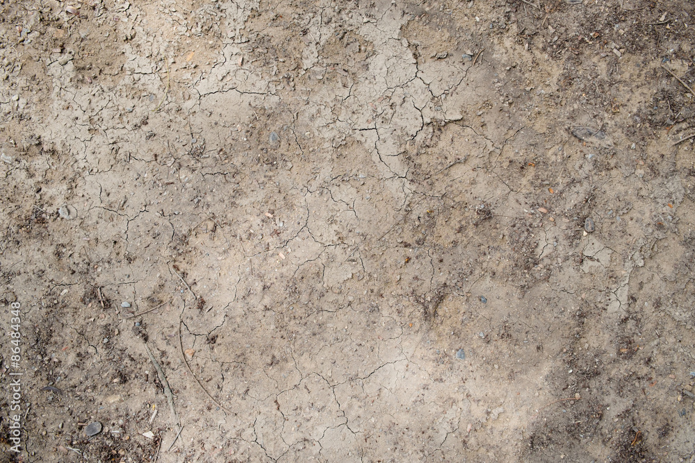 The ground surface natural background The ground surface natural background