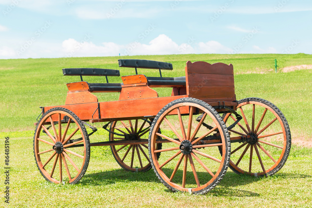 historic carriage on beautiful field and Blue skies 
