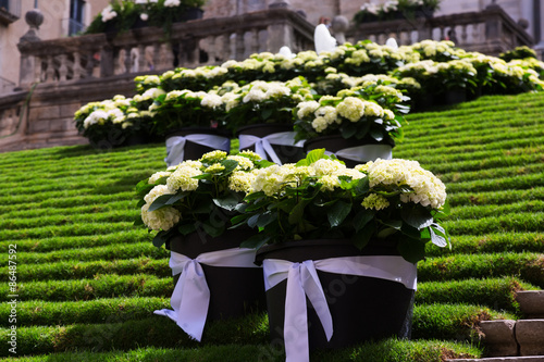   Festival of floral decorations. Spain photo