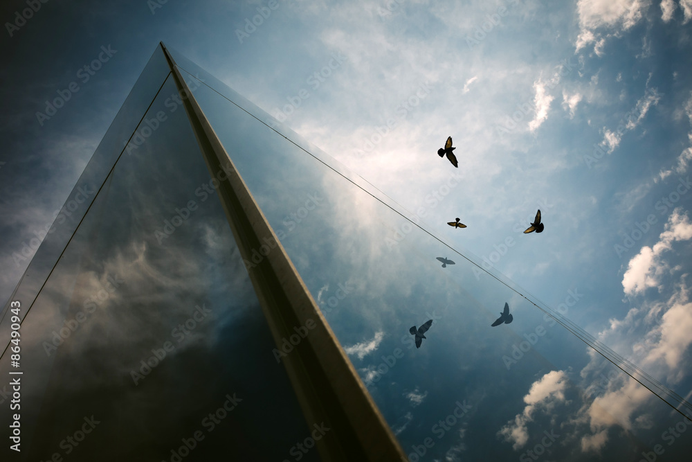 Flight of birds reflection on a glass building. Stock 写真 Adobe Stock