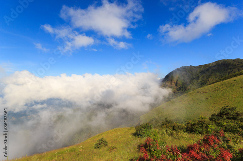 Wide meadow with mist and clouds in blue sky on sunshine day at Inthanon Mountain, Chiang Mai, Thailand