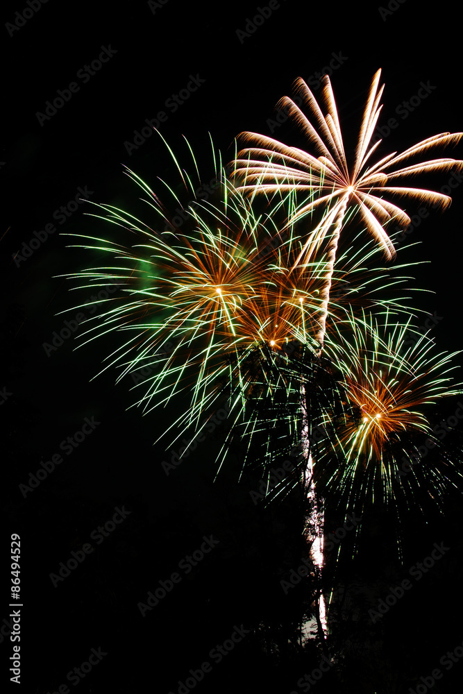 Firework isolated on black background. Firework isolated on black background.