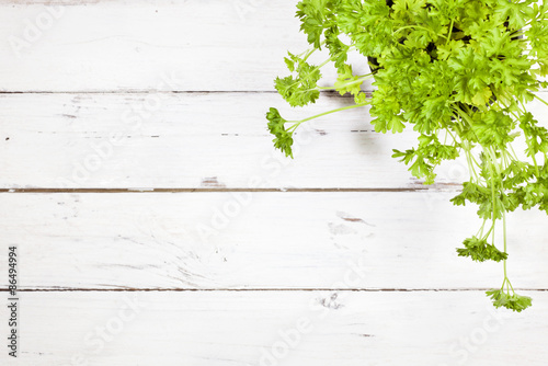 Parsley plant on rustic white table, top view