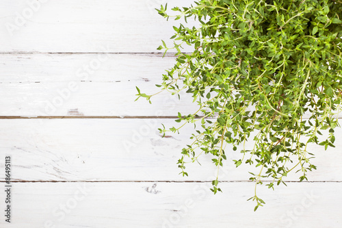 Thyme plant on rustic white table, top view