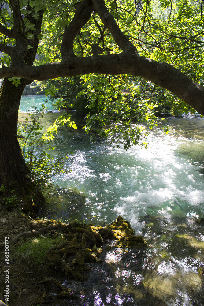 Fiume Krka Fiume Krka