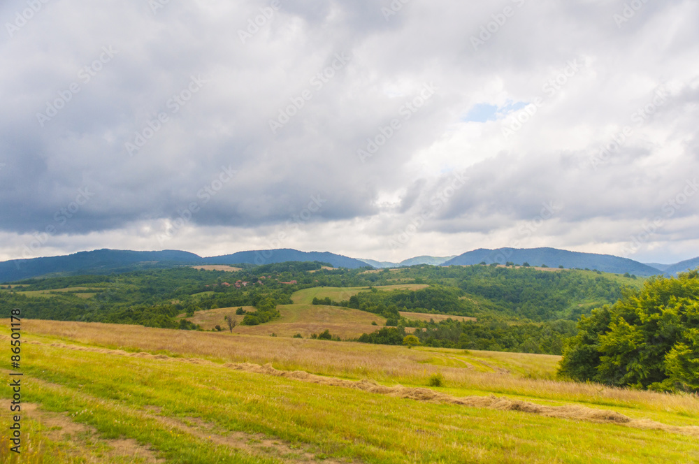 landscape landscape