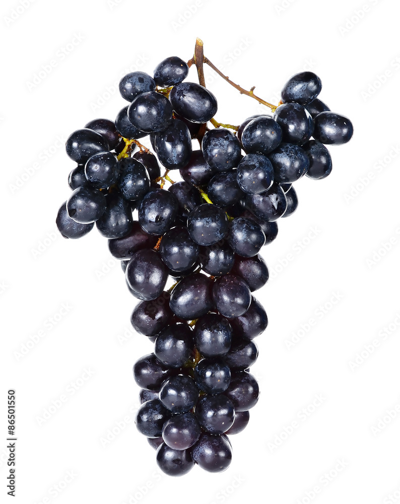 Black grapes isolated on over white background Black grapes isolated on over white background