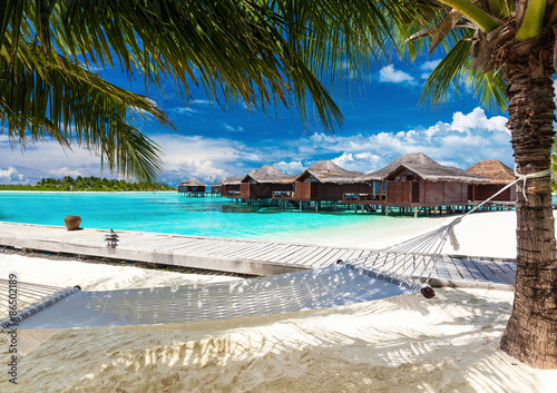 Hammock between palm trees on tropical beach