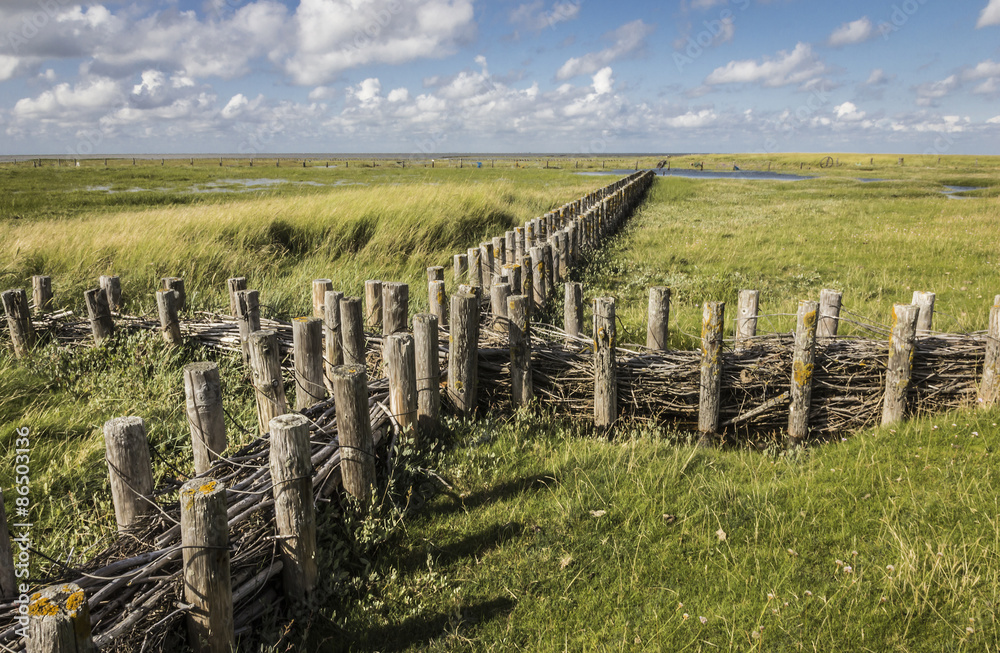 Bei Westerhever StockFoto Adobe Stock
