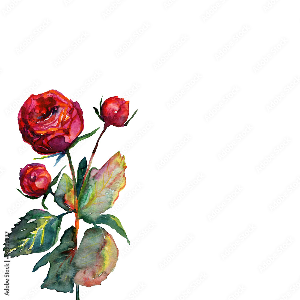 Fototapeta premium Pattern with red fragile roses and copy space