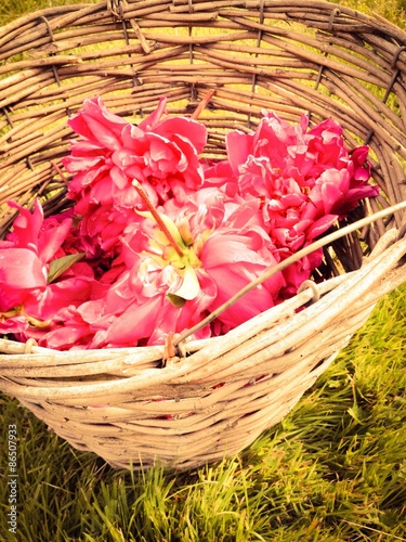 Flowerheads in basket