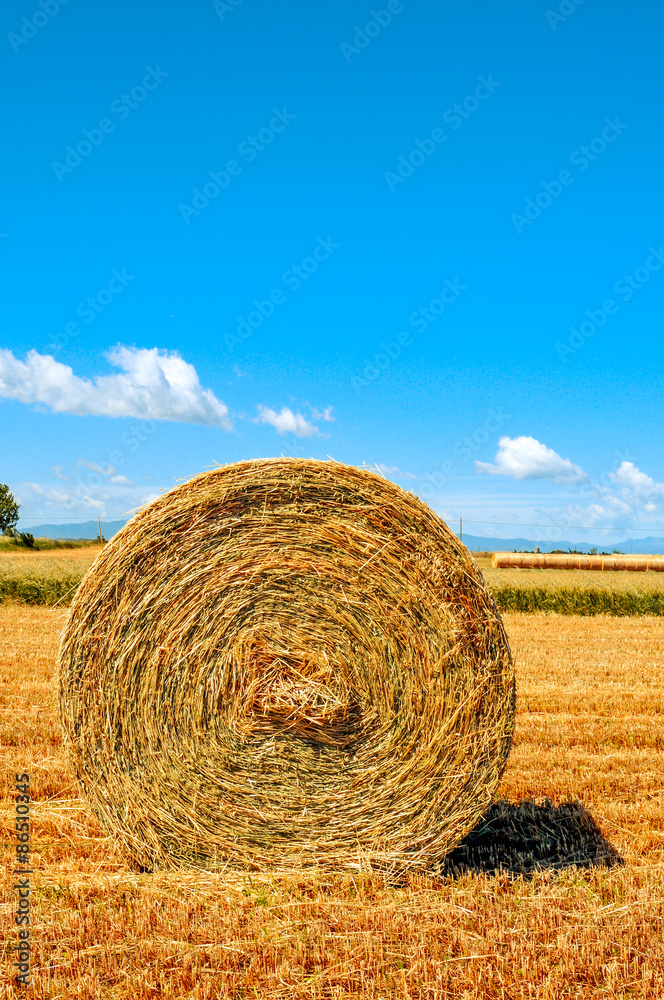 round straw bale in a crop field in Spain after harvesting