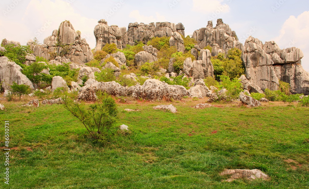 Shi Lin stone forest national park. Kunming. China.