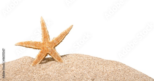 Beach, starfish, caribbean.