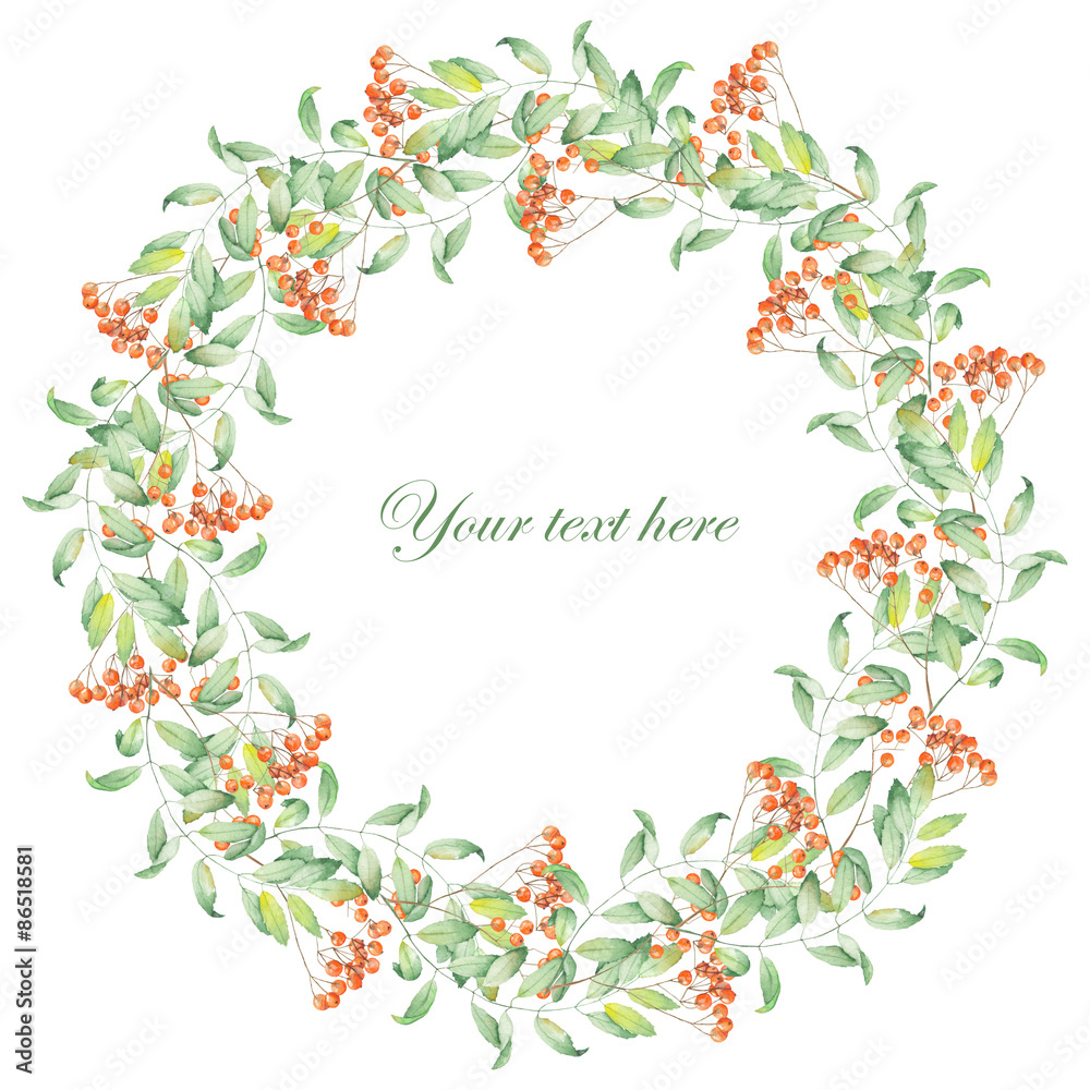 Wreath of rowan painted in watercolor on a white background