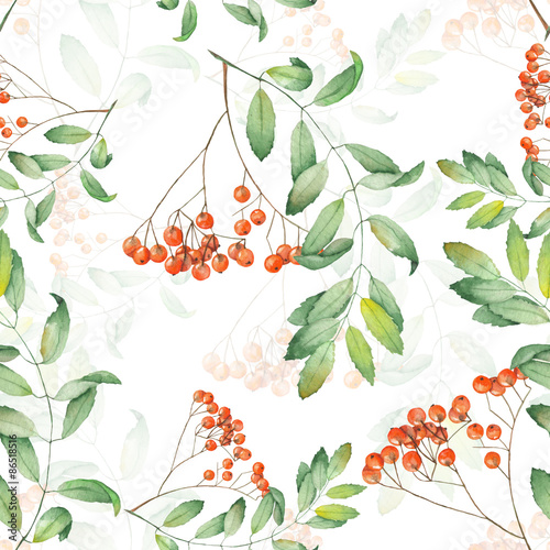 Pattern of rowan painted in watercolor on a white background