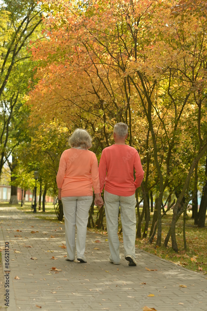 Beautiful caucasian elderly couple