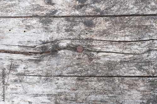 Weathered wood bakcground