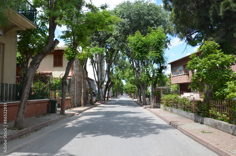 Historical street on Buyukada,istanbul